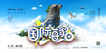 国际海豹日
