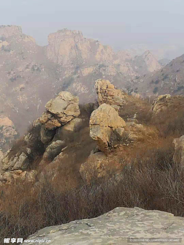 山
