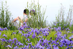 花海