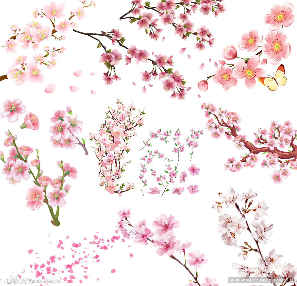 樱花