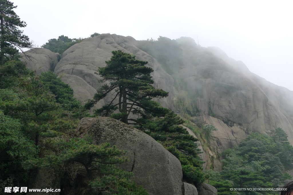 婺源风景