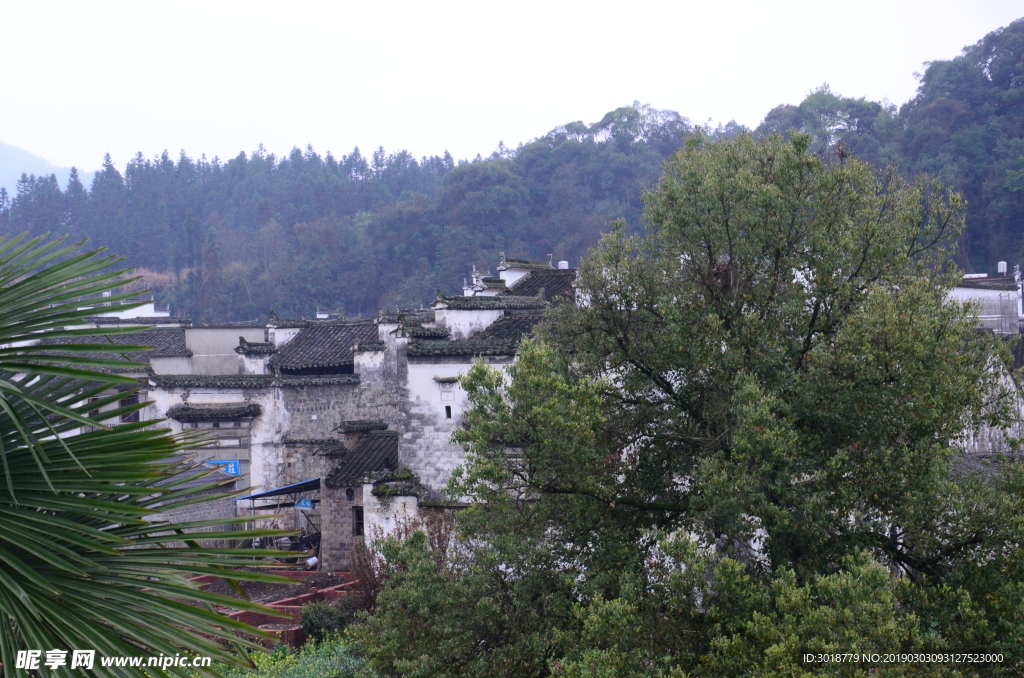 婺源风景