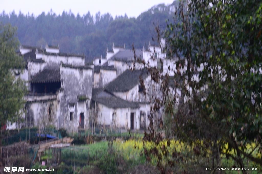 婺源风景