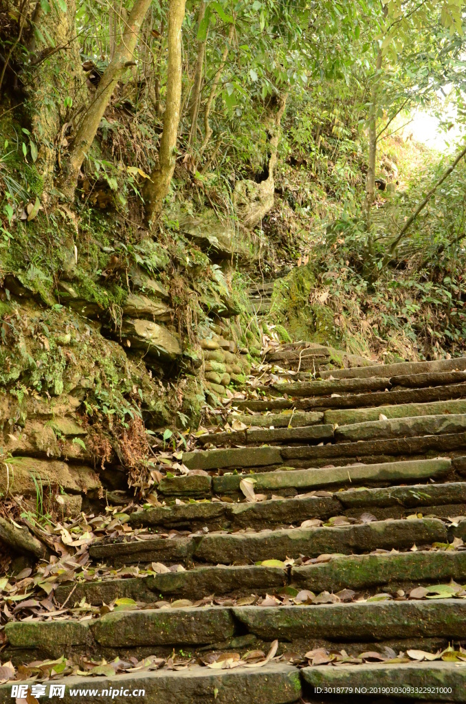 山间小道