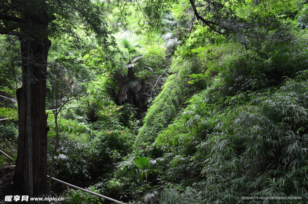 婺源风景