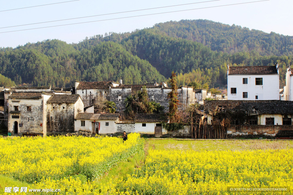婺源风景