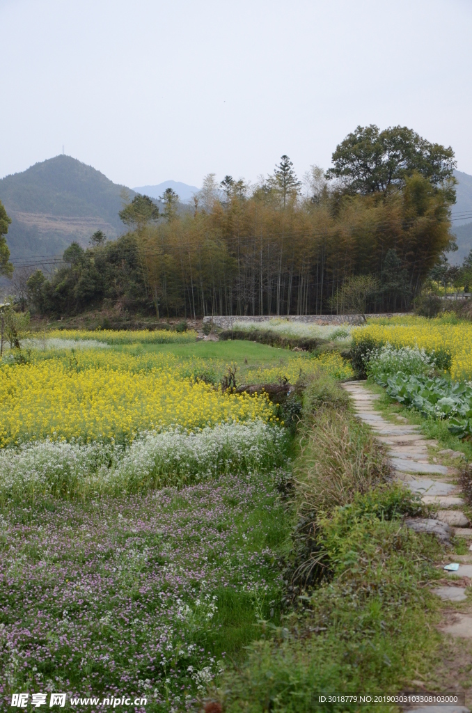 婺源风景