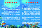 吃海鱼的注意事项