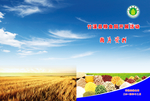 粮食局封面