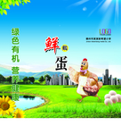 笨鸡蛋手提袋