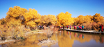 风景 风光