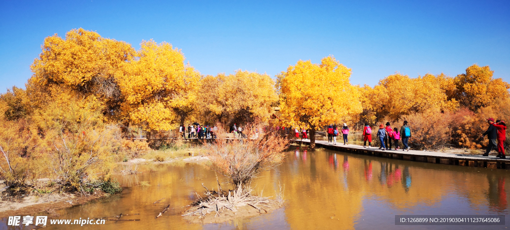 风景 风光