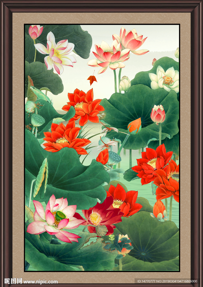 国画荷花