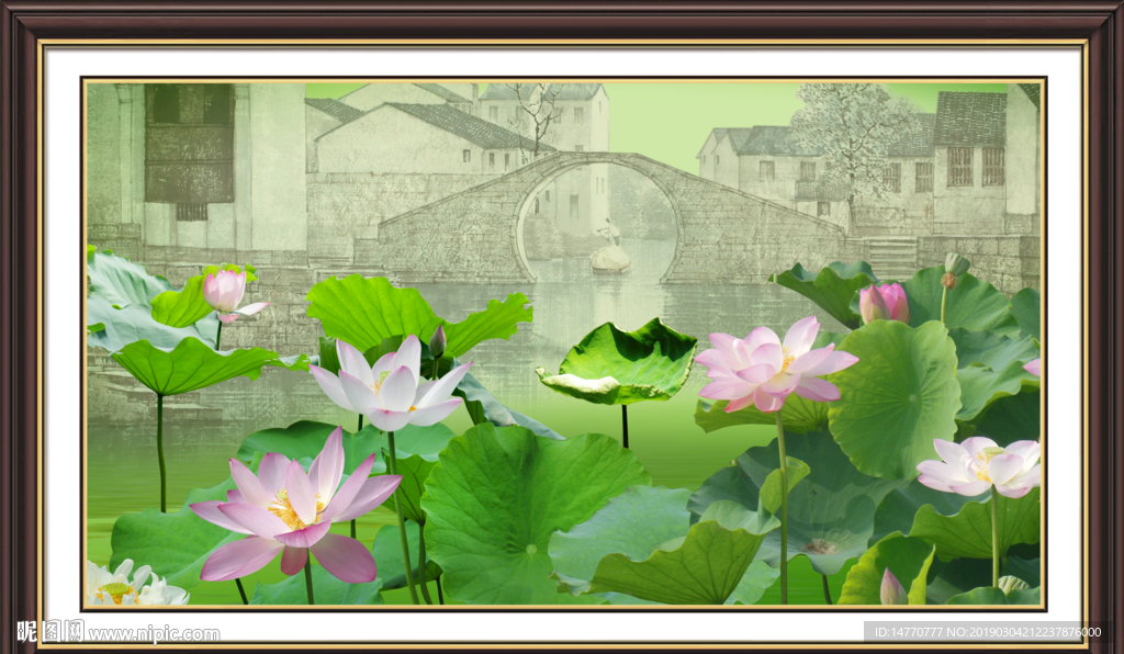 国画荷花