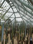 惠州植物园