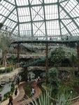 惠州植物园