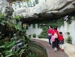 惠州植物园