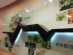 惠州植物园