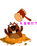 大鼠