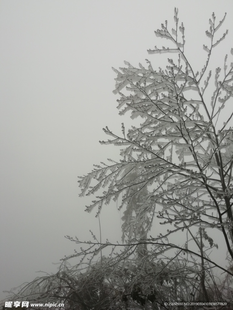 雪