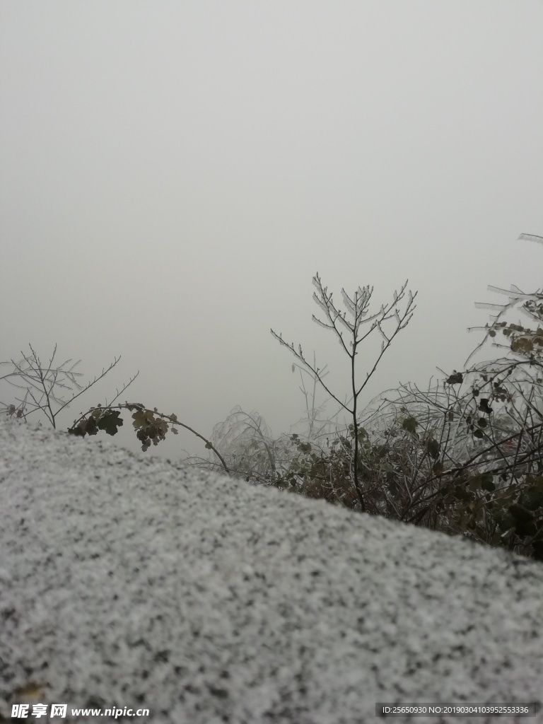 雪景