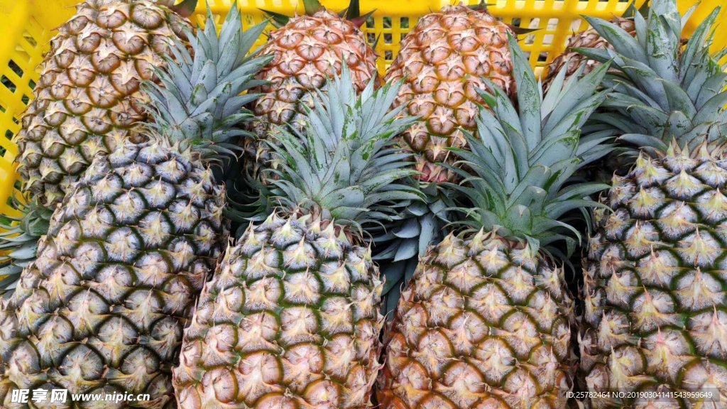 菠萝.