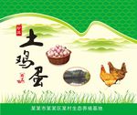 鸡蛋箱