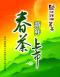春茶