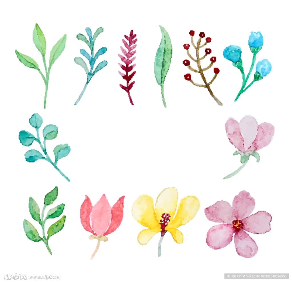 水彩植物
