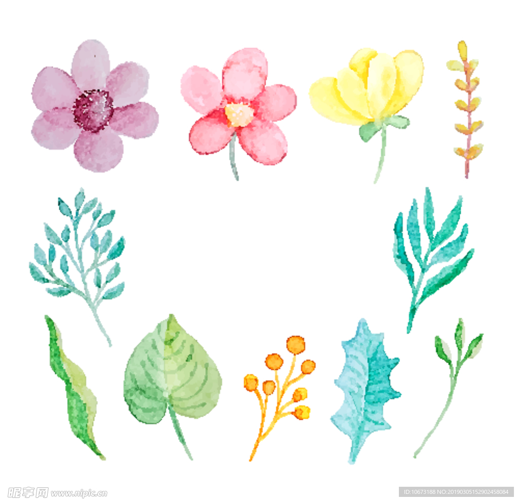 水彩植物
