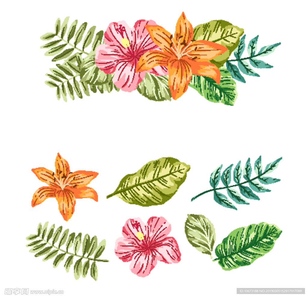 水彩植物