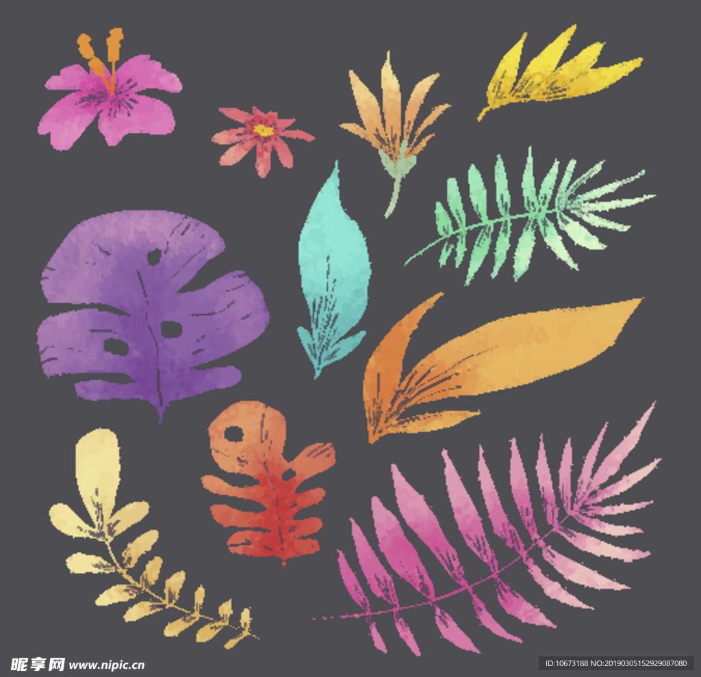 水彩植物
