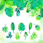 水彩植物