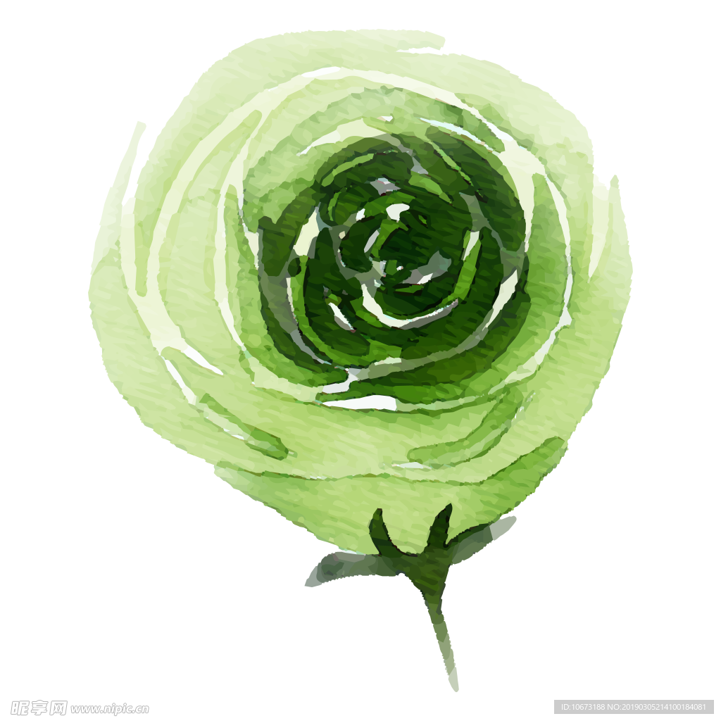 水彩植物图片