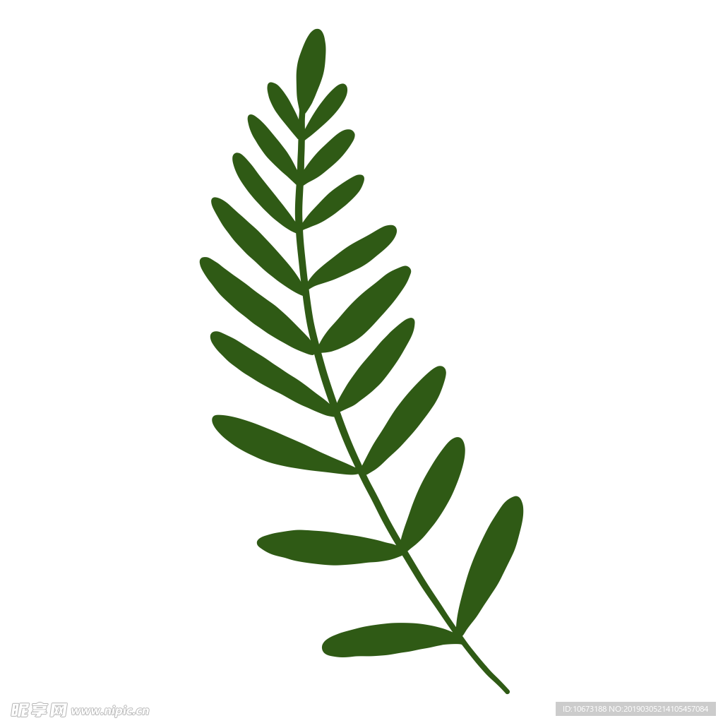 水彩植物图片