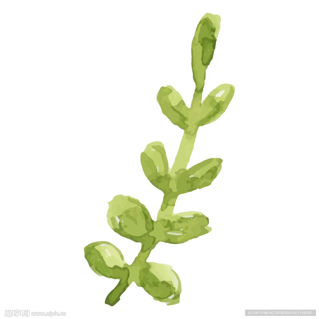 水彩植物图片