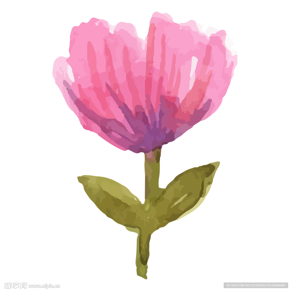 水彩植物图片