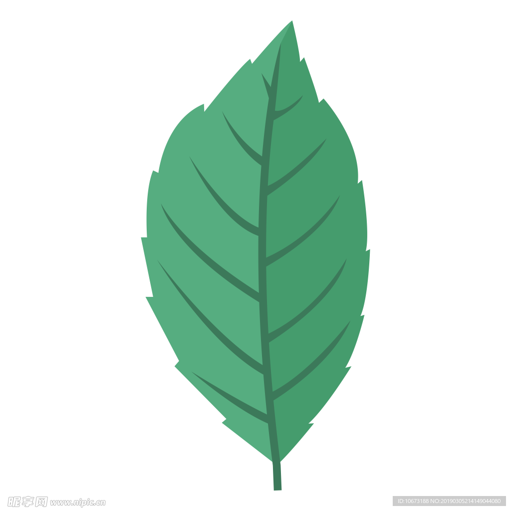 水彩植物图片