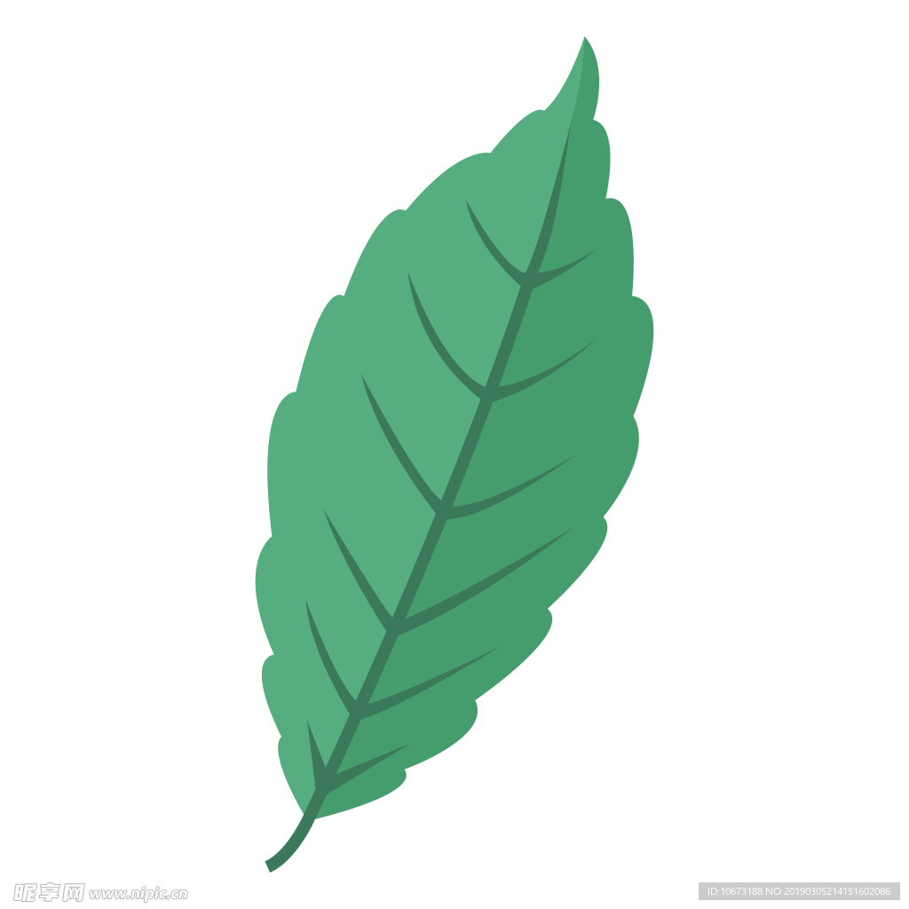 水彩植物图片