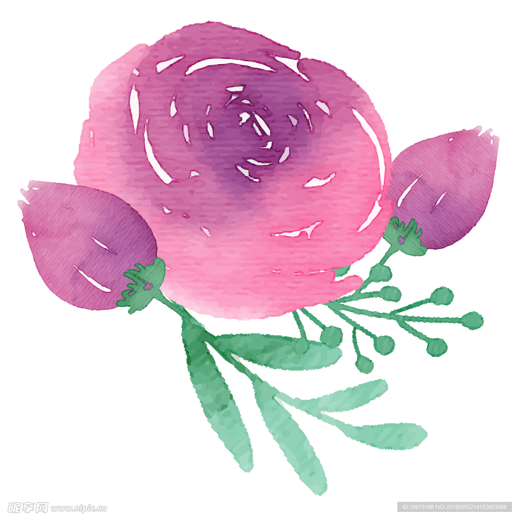 水彩植物图片