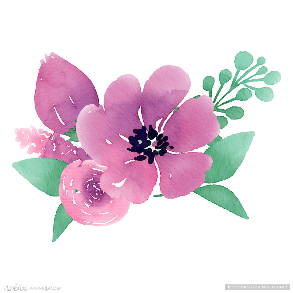 水彩植物图片