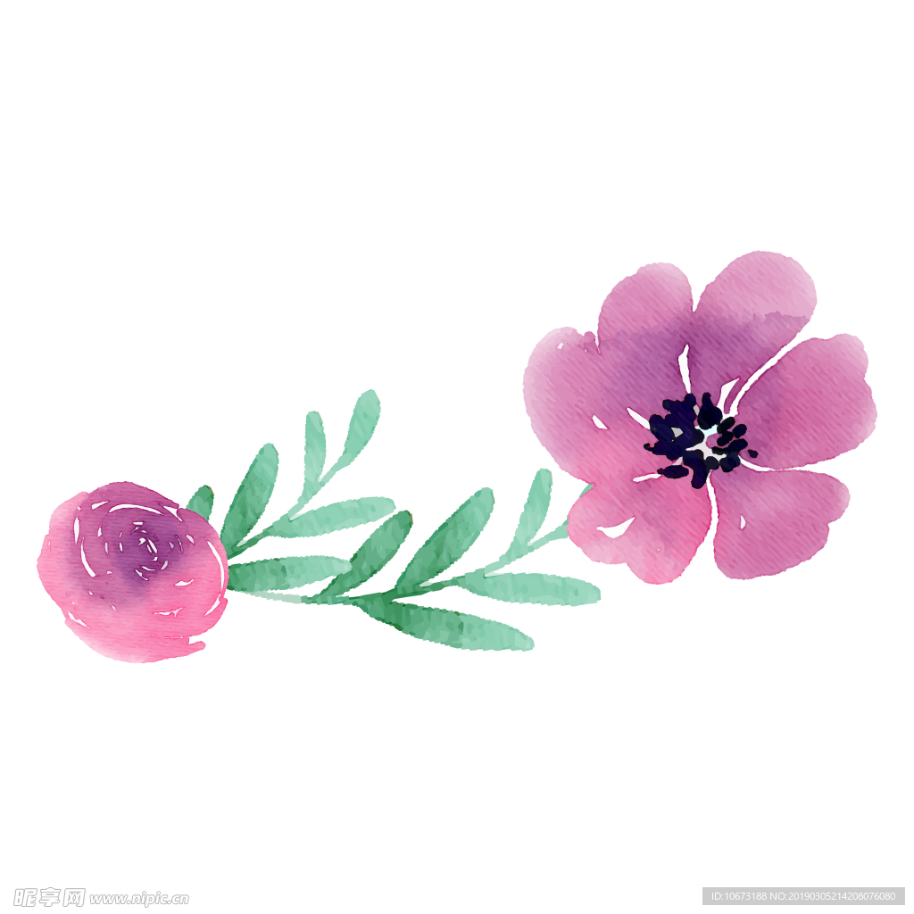 水彩植物图片