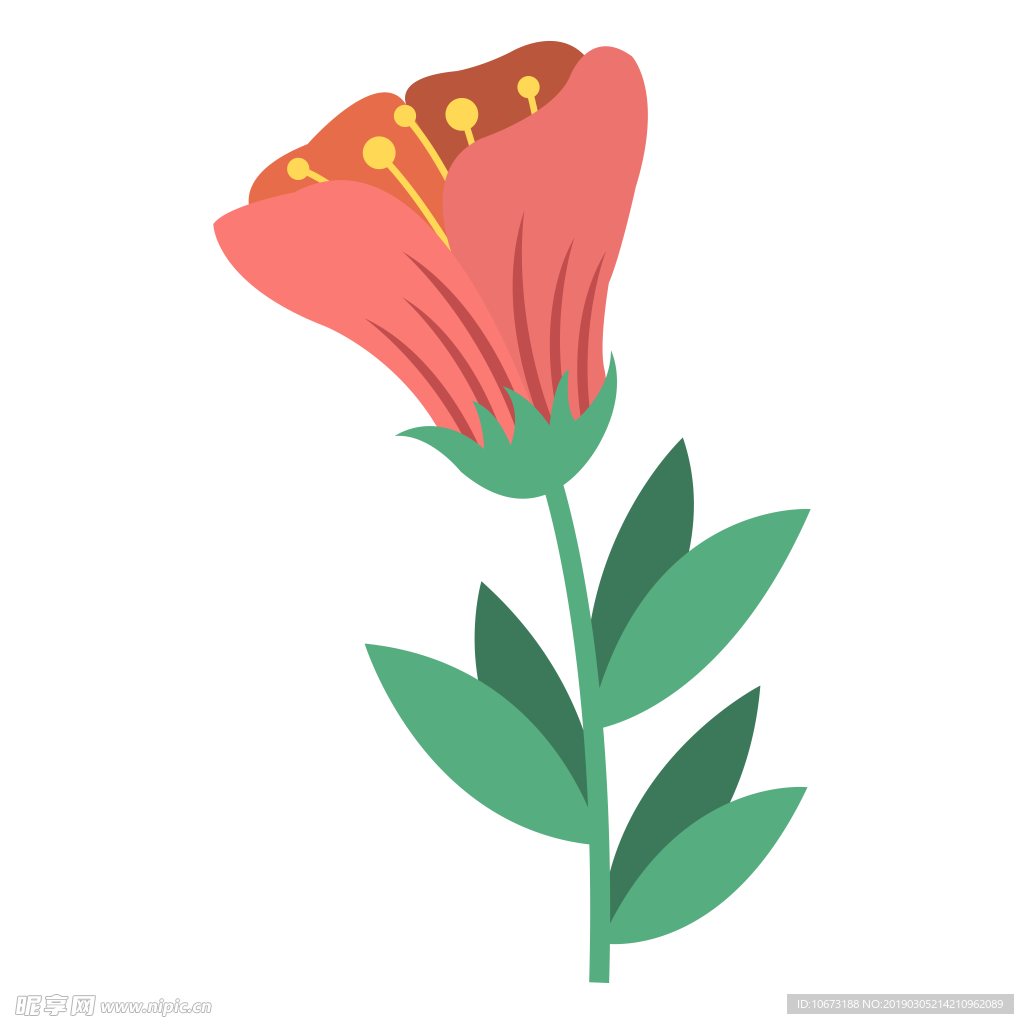 水彩植物图片