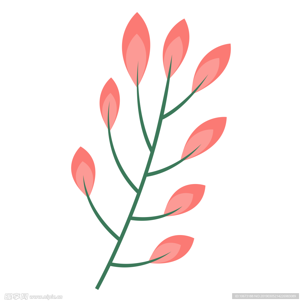 水彩植物图片
