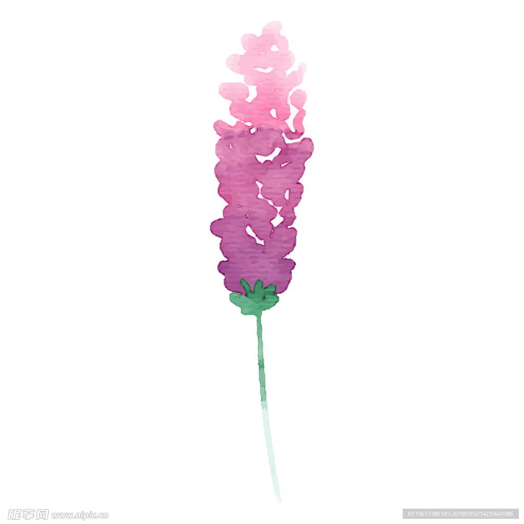 水彩植物图片