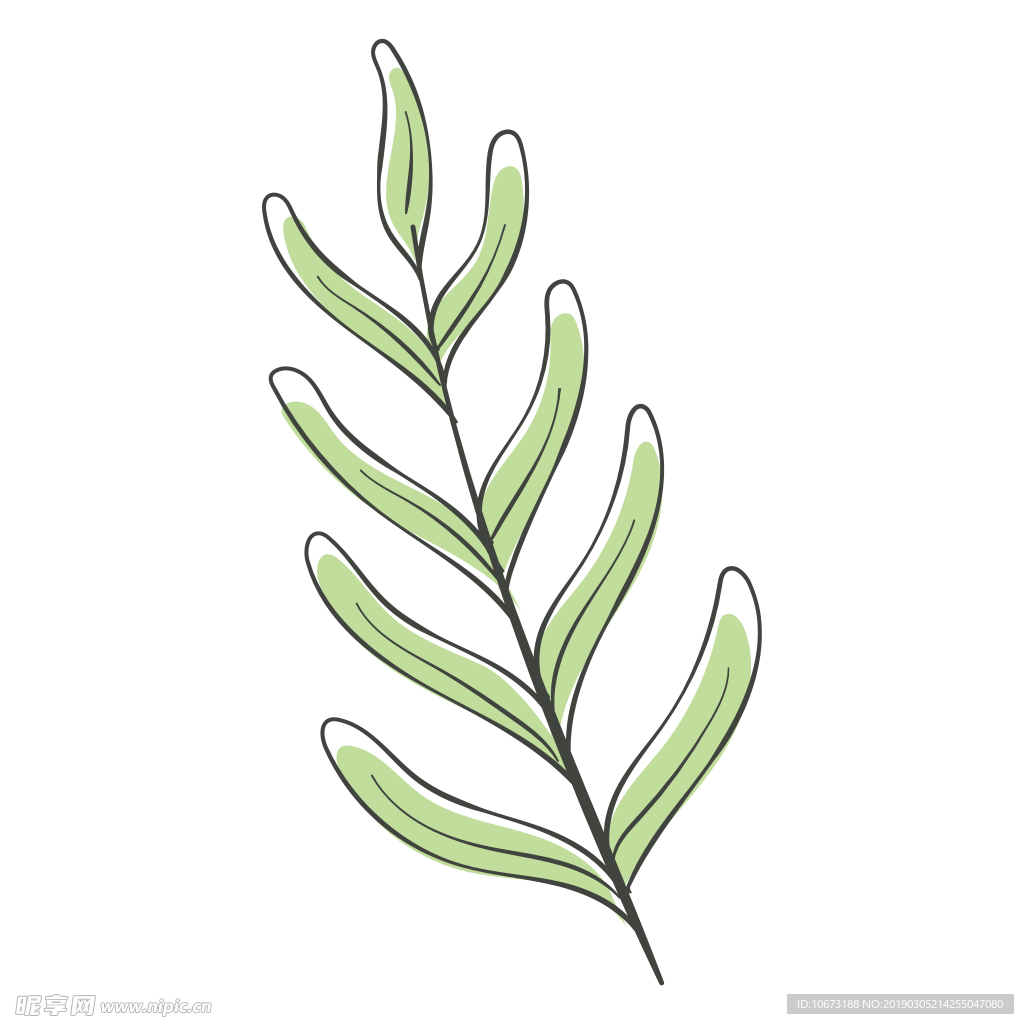 水彩植物图片