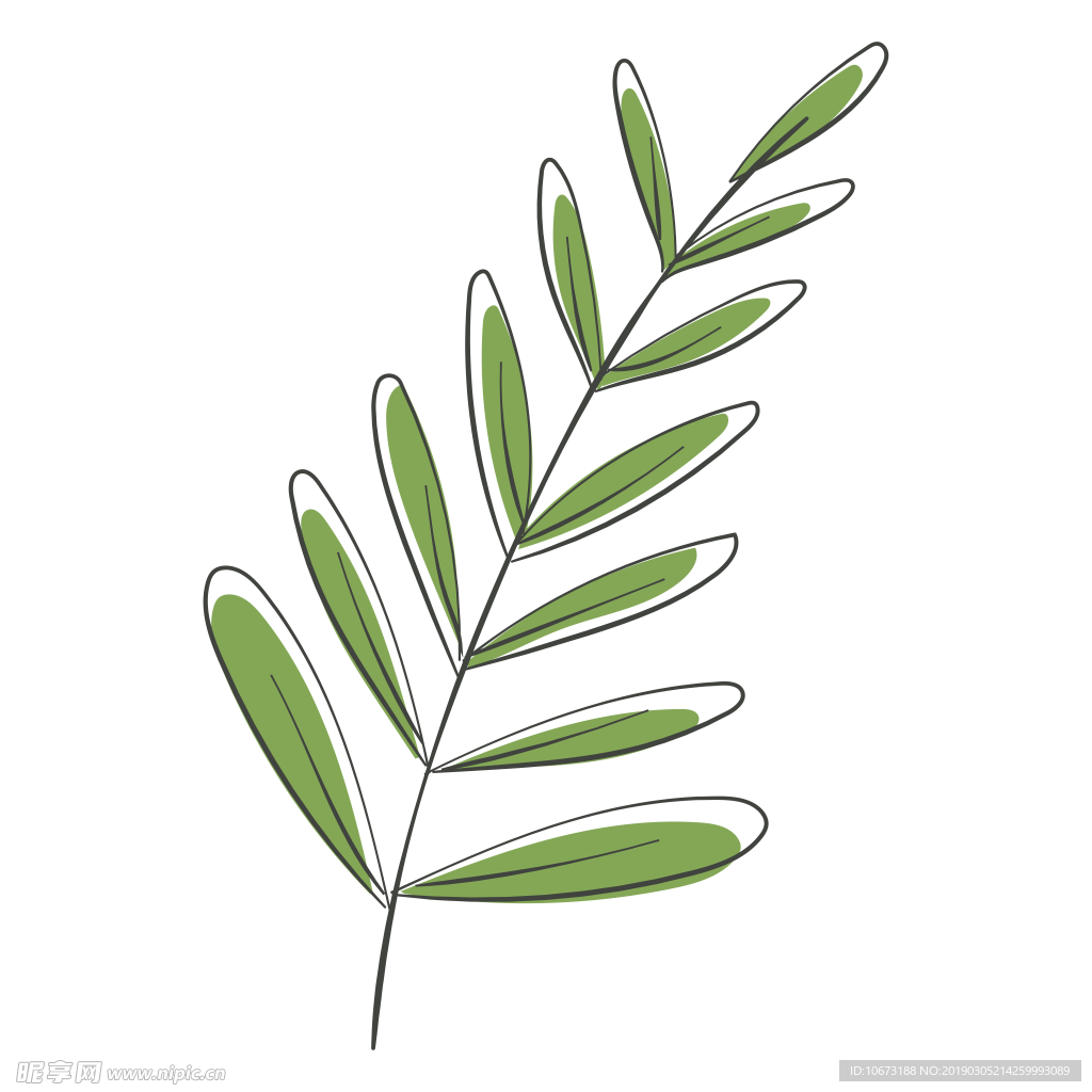 水彩植物图片