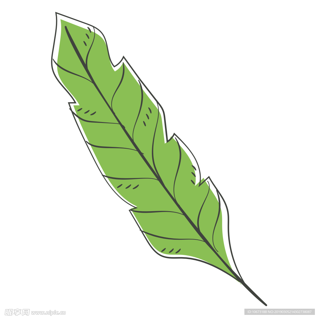 水彩植物图片