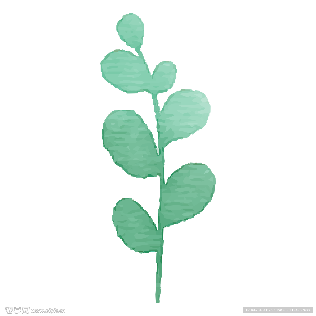 水彩植物图片