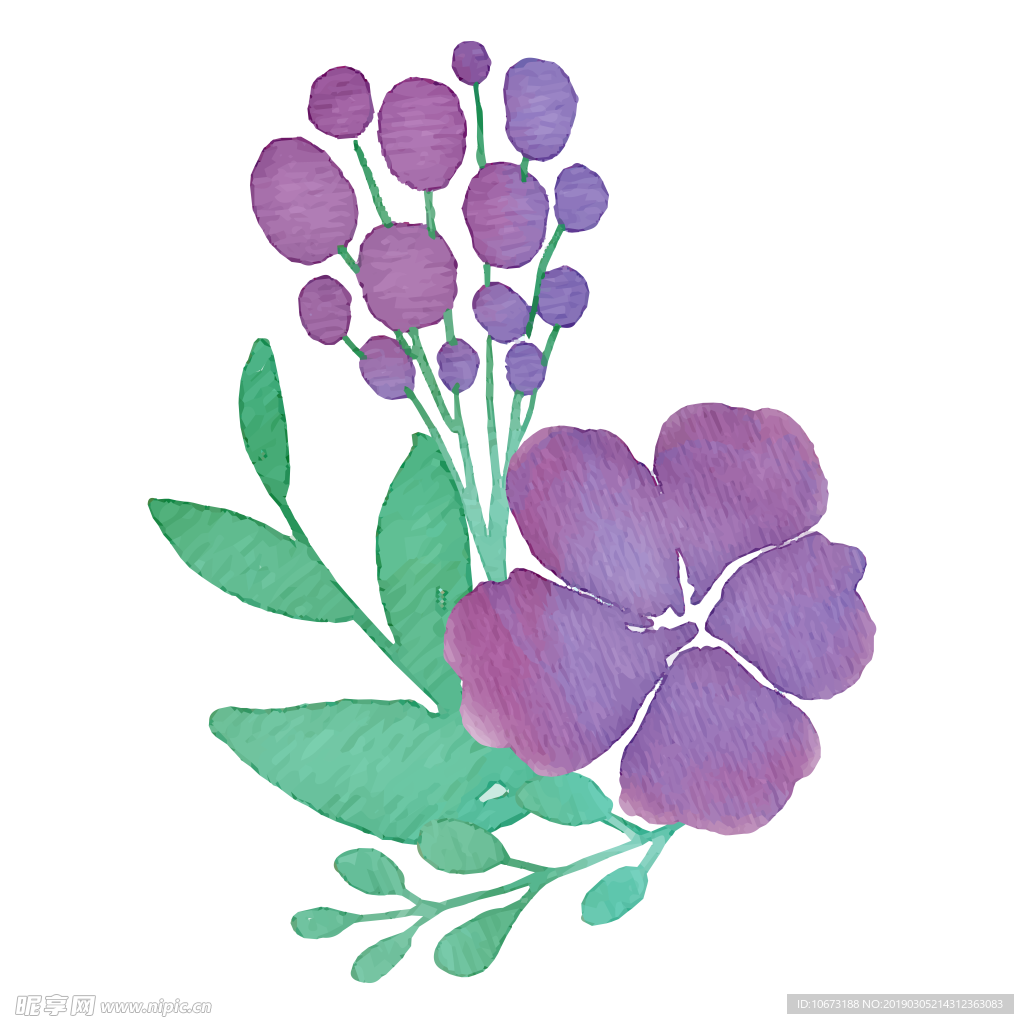水彩植物图片